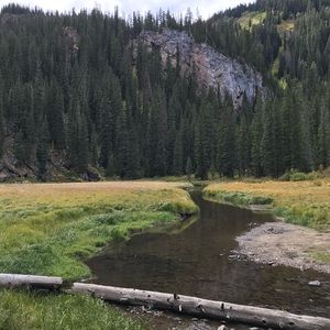 Meet your Posher, Matt